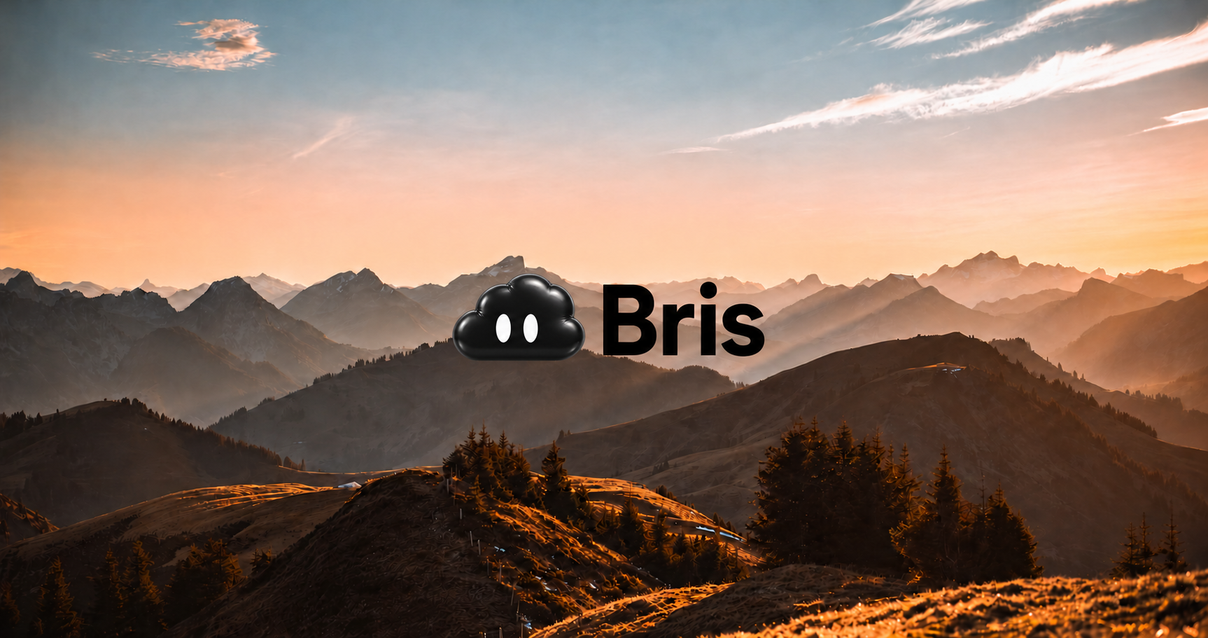 usebris.com image